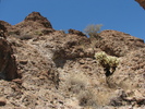 photo thumbnail #3
