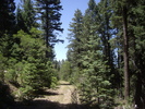 photo thumbnail #5