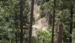photo thumbnail #8