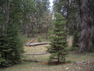 photo thumbnail #2