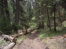 photo thumbnail #3