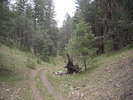 photo thumbnail #7