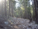 photo thumbnail #8