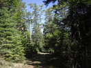 photo thumbnail #12