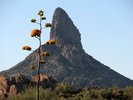 2012-06-16 :1: Black Mesa Loop - Superstition Mtns :: CannondaleKid