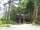 photo thumbnail #7