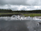 photo thumbnail #1