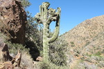photo thumbnail #6