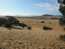 photo thumbnail #15