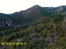 photo thumbnail #8