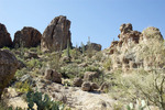 photo thumbnail #11