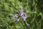 photo thumbnail #14