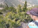 photo thumbnail #6