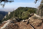photo thumbnail #2