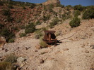 photo thumbnail #7