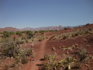 photo thumbnail #9