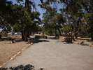 photo thumbnail #15