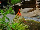 photo thumbnail #6
