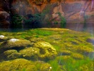 photo thumbnail #11