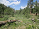 photo thumbnail #4