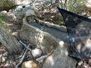 photo thumbnail #11