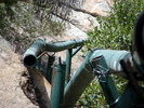 photo thumbnail #12