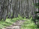 photo thumbnail #10