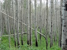 photo thumbnail #7