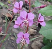 photo thumbnail #14