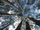 photo thumbnail #12