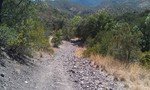 photo thumbnail #2