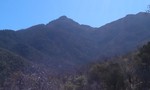 photo thumbnail #10
