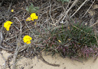 Featured Detail Photo