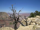 photo thumbnail #15