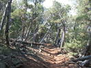 photo thumbnail #7