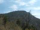 photo thumbnail #10