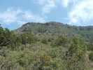 photo thumbnail #11