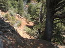 photo thumbnail #12