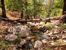photo thumbnail #6