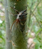 Featured Detail Photo
