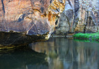 photo thumbnail #8