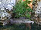 photo thumbnail #5