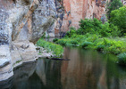 photo thumbnail #6