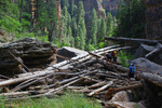 photo thumbnail #10