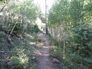 photo thumbnail #7