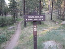 photo thumbnail #12