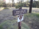photo thumbnail #13