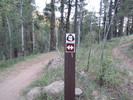photo thumbnail #14