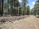 photo thumbnail #4