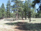 photo thumbnail #4